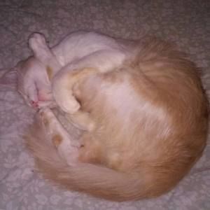 Meet your Posher, Gary